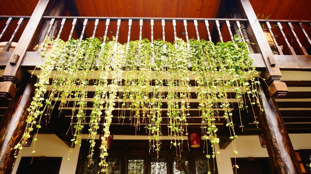 Lijiang Wangjia Courtyard Inn Buitenkant foto